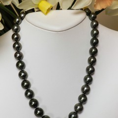 201307051611340.tahitian-pearls-south-sea-full[1]