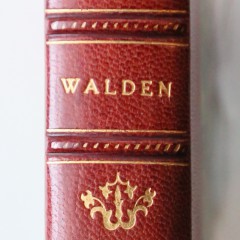 Walden by Henry D. Thoreau, First Edition