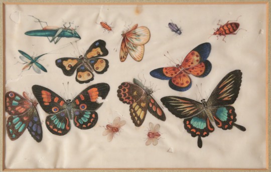 Chinese Export Watercolor on Mulberry Pith Paper of Multiple Butterflies