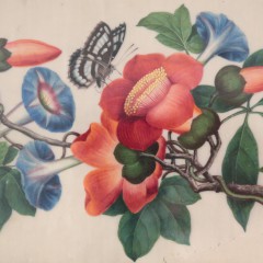 Chinese Export Watercolor on Mulberry Pith Paper of Flowering Vines