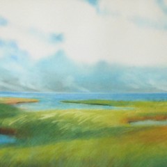 Yasemin Tomakan “Light Over Cove Marshes”