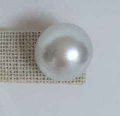 Pair of 14mm White South Sea Pearl Earrings