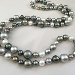 Fine 9mm-16mm White South Sea and Tahitian Pearl Cocktail Necklace