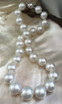 Fine White 14.mm X 15.2mm South Sea Pearl Necklace