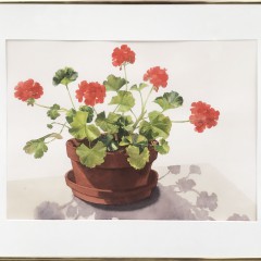 Joan McPherson Watercolor on Paper "Geraniums"