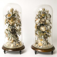 Pair of 19th Century Shell Bouquets, under glass domes on wood stands