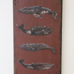 David Lazarus Hand Painted Plaque Depicting 6 Species of Whales