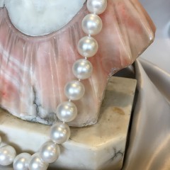 Fine White South Sea Pearl Necklace