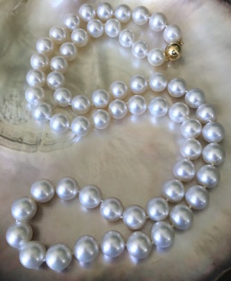 Very Fine 13mm x 14mm South Sea Pearl Necklace