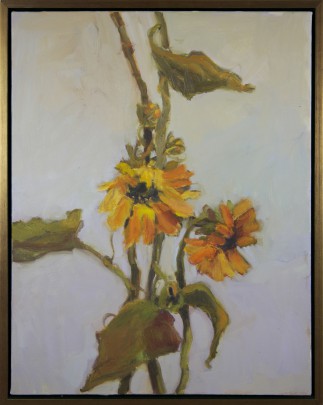 Julie Gifford Oil on Canvas “Sunflowers”