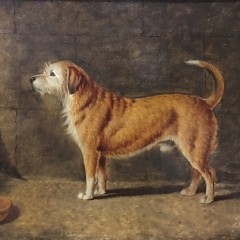 T. Temple Oil on Canvas “Portrait of a Dog”