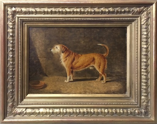 T. Temple Oil on Canvas “Portrait of a Dog”