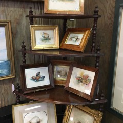 Group of Miniature 19th Century Shell Watercolors