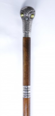 39771 Walking Stick_8879 2