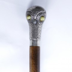 39771 Walking Stick_8879 2