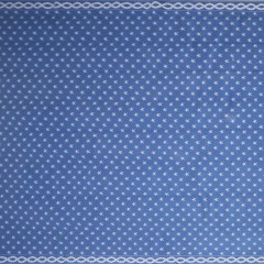 Blue and White Star & Rope Boarder Stark Carpet