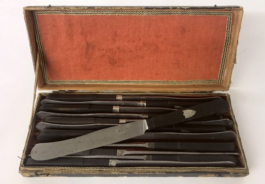 Boxed Set of Twelve 18th Century French Fruit Knives