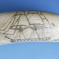 Fine and Rare American Scrimshawed Sperm Whale Tooth, circa 1840