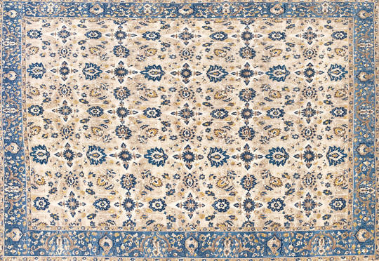 Turkish Blue and Taupe Rug 8-4427_0842