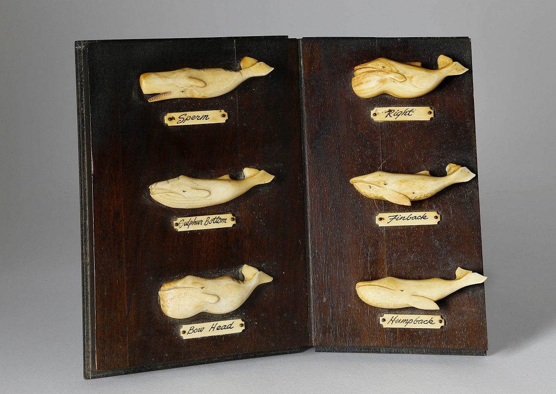 Whale Sailor Made Whale Ivory and Mahogany “Book of Whales” Rafael