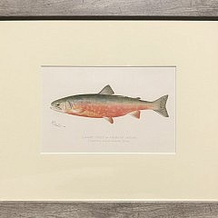 Set of 6 Sherman Foote Denton Antique Fresh Water Series Fish Lithographs