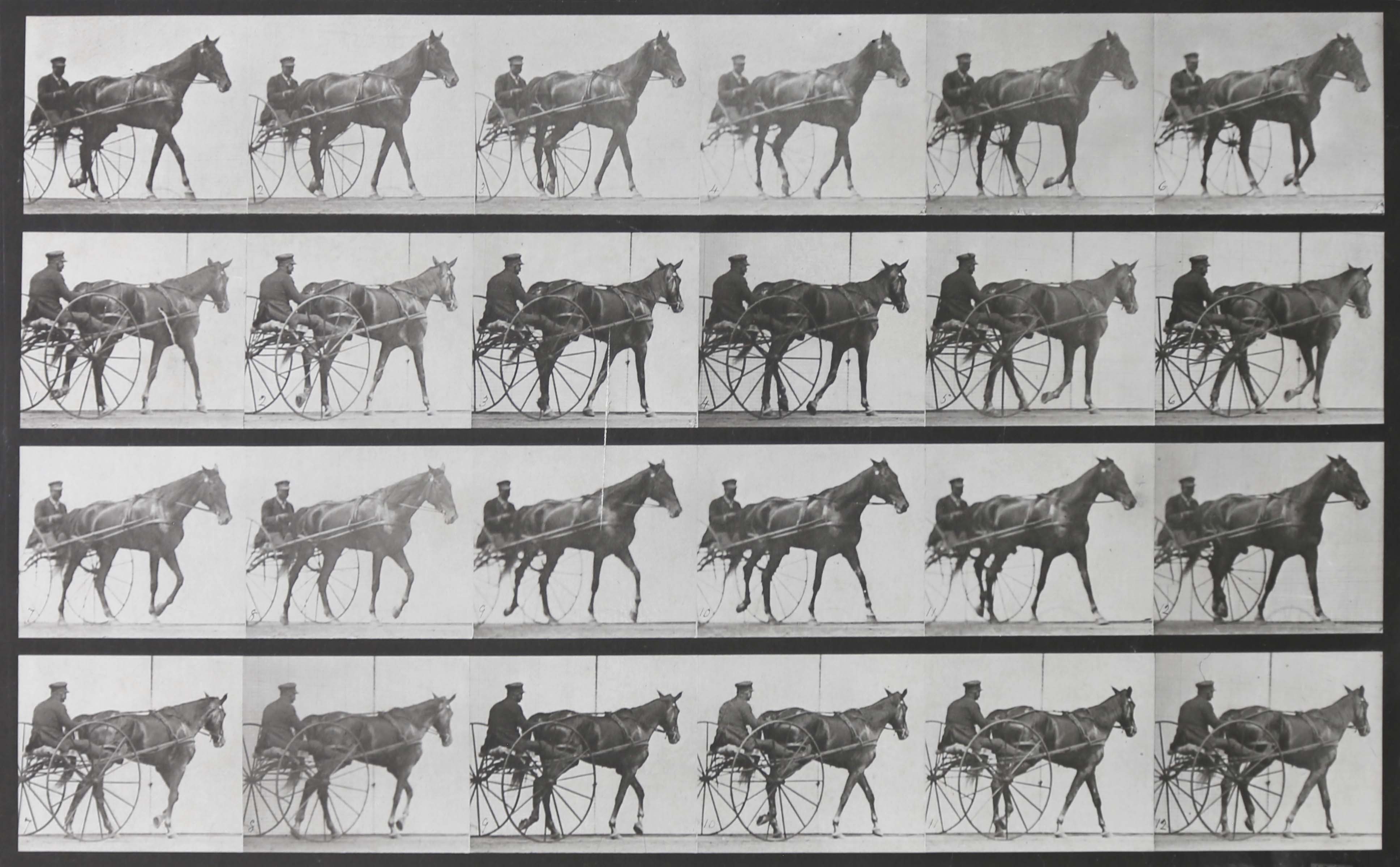 Eadweard Muybridge - Animal Locomotion – Plate 587 by Eadweard ...