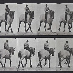 Eadweard Muybridge