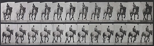 Eadweard Muybridge