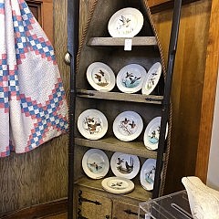 IMG_6361