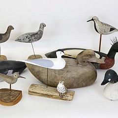 Collection of Shorebirds, Duck Decoys and Swan Carvings