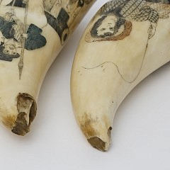 A Fine Pair of Whaleman Polychrome Scrimshaw Sperm Whale Teeth