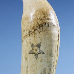 Whaler Scrimshawed Whale Tooth of Jack Tar