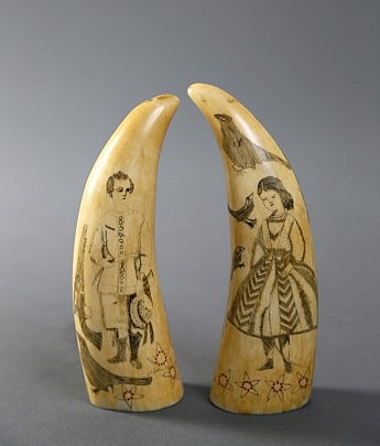 Whale Teeth