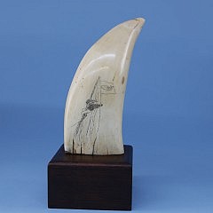 Sperm Whale Tooth