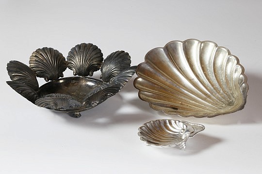 Shell Dishes