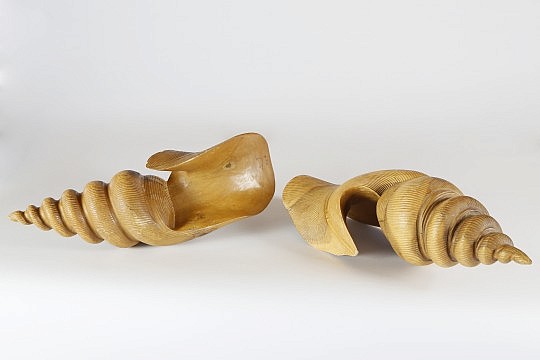 Wooden Shells