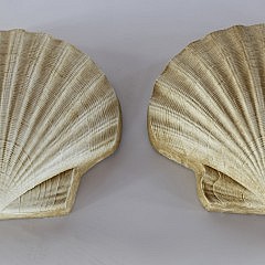 Pair of Composition Stone Scallop Shell Ornaments