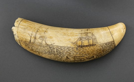 William Lewis Roderick Scrimshaw Whale Tooth