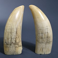 Pair of Whale Teeth