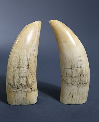 Pair of Whale Teeth