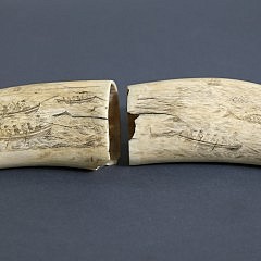 Pair of Whaleman Scrimshawed Whale Teeth