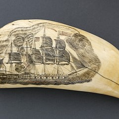 Whaler Polychrome Scrimshawed Sperm Whale Tooth