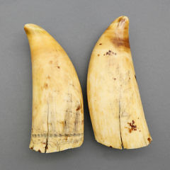 Pair of Whaleman Scrimshawed and Polychromed Sperm Whale Teeth