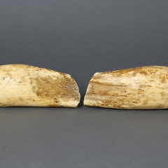 Pair of Whaleman Scrimshawed Sperm Whale Teeth