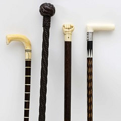 Walking Sticks