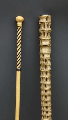 Youth Walking Stick and Shark Vertebrae Walking Stick
