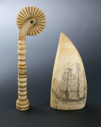 Sperm Whale Tooth and Pie Crimper