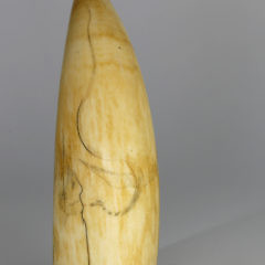 Fine Whaler Scrimshaw Sperm Whale Tooth