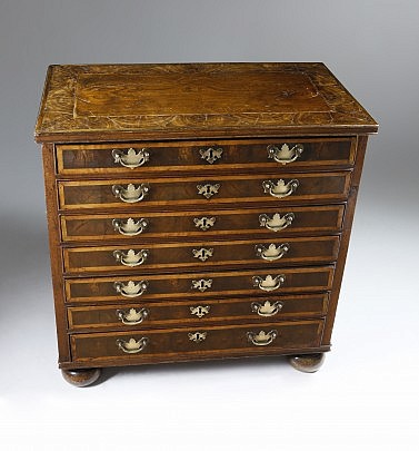 Diminutive English Oyster Walnut Collector’s Bureau