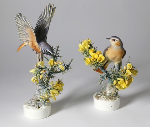 Pair of Dorothy Doughty Royal Worcester Porcelain Redstart Ruticilla Phoenicurus and Gorse